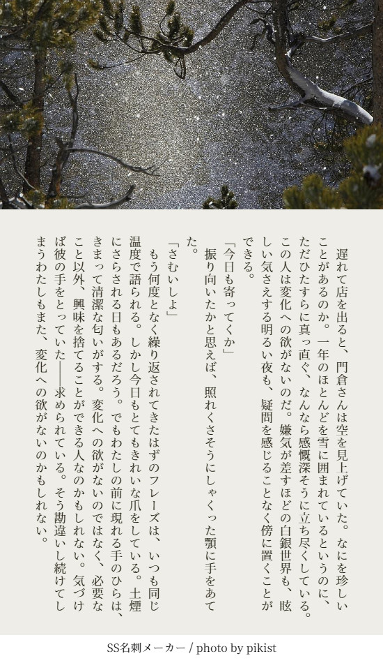 掌編