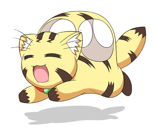 猫（てぃお）バス