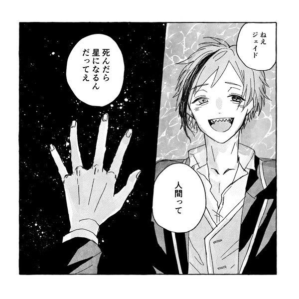 プルケリマ