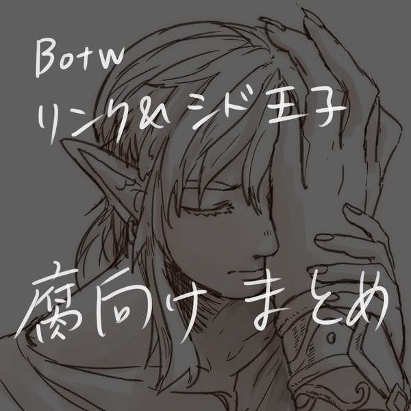 【腐向け】リンク・シド王子まとめ