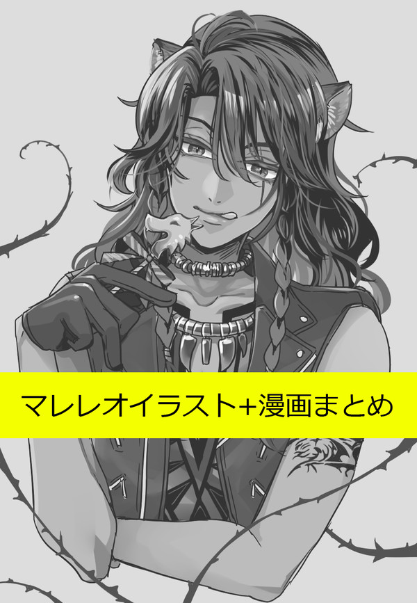 マレレオまとめ