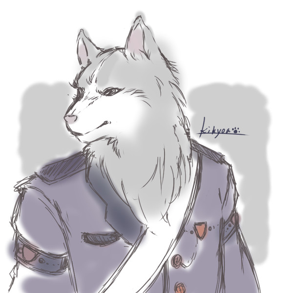 灰色狼の獣人騎士