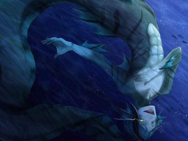 ～海の中へようこそ～
