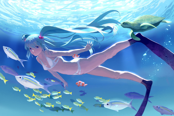 海