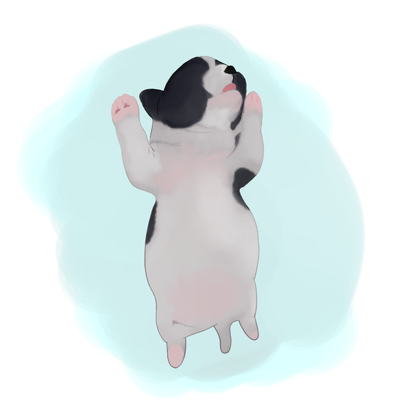 Summer Pug