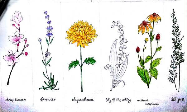flora