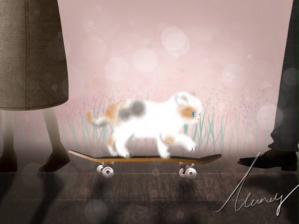 猫
