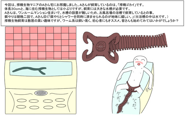搾精生物を飼おう！