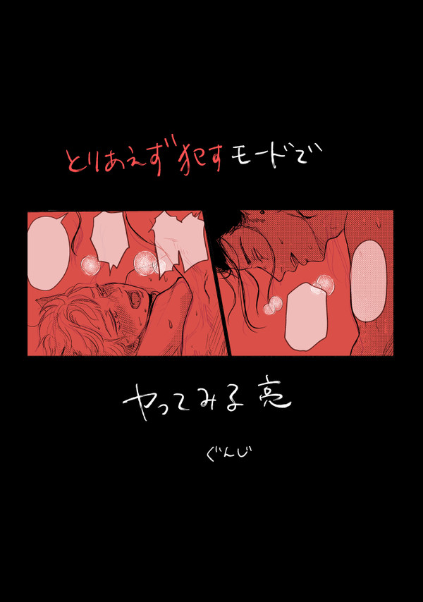 とりあえず犯すモードでヤってみる亮