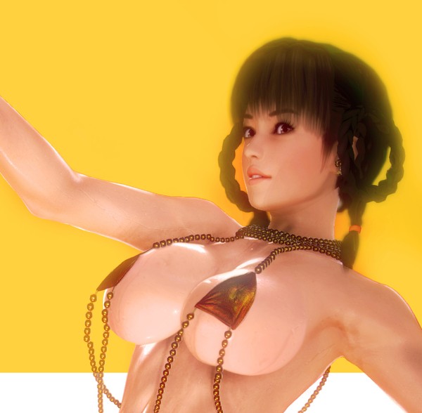D.O.A.X Lei Fang Pin Up