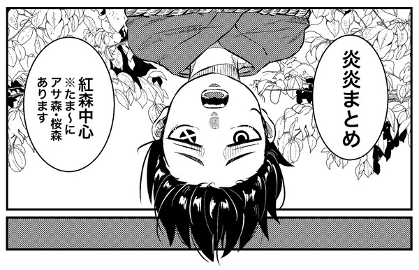 紅森詰め
