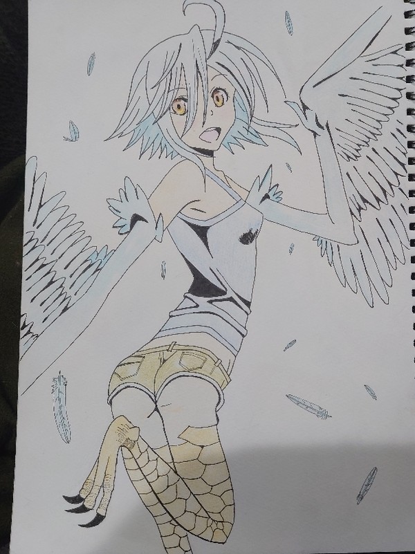 練習