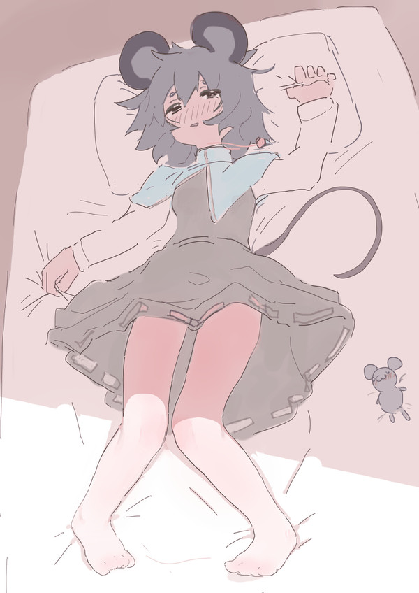 健全なナズーリン