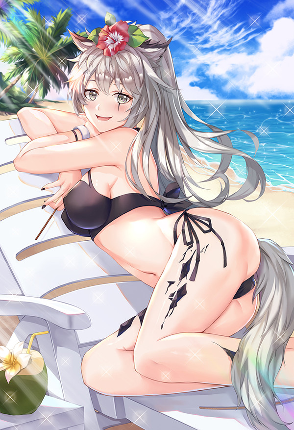 ラップランド