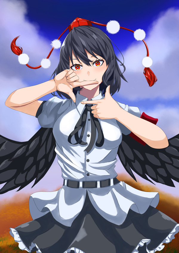 射命丸です