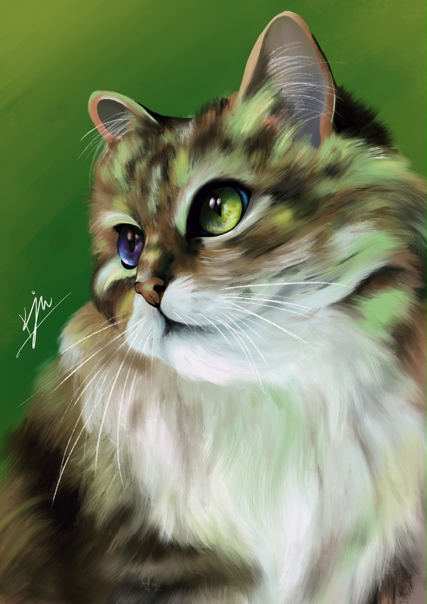 Cat~