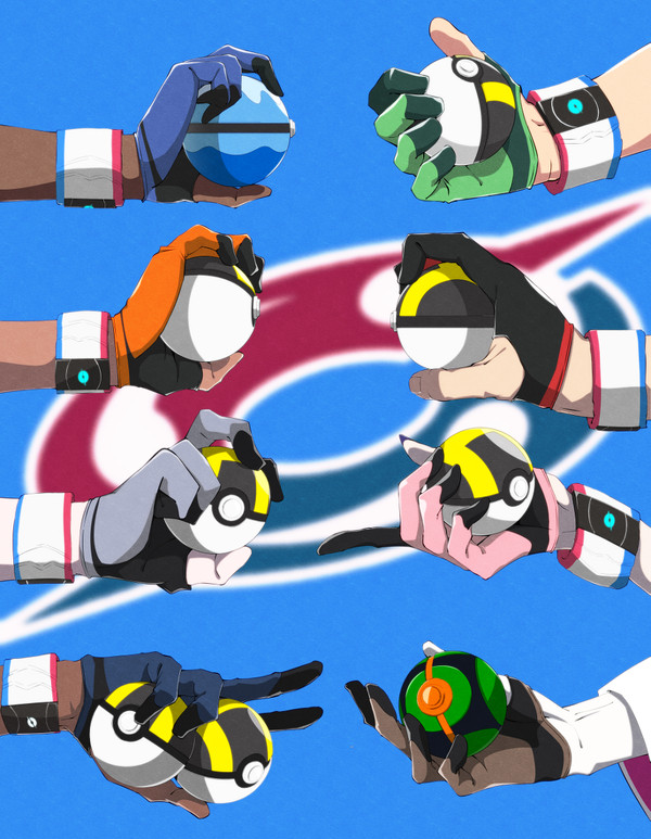 ジムリーダーが　勝負を　しかけてきた！