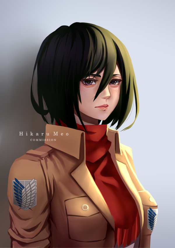 Mikasa Ackerman Attack on Titan