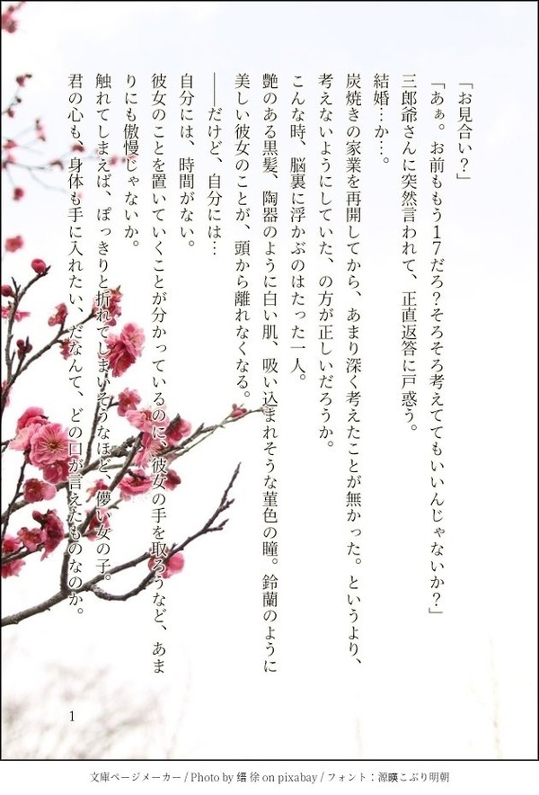 【炭カナ】お見合い