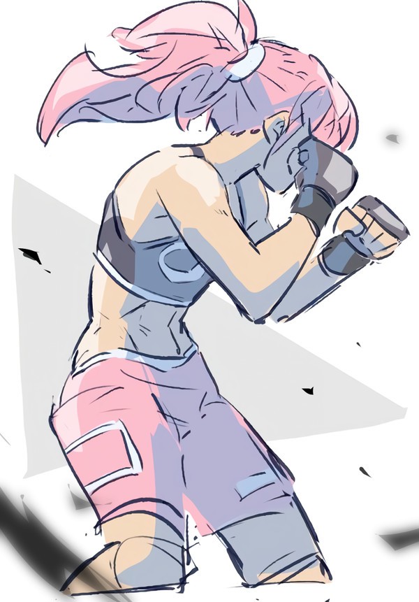 格闘技絵他