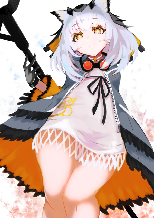 フィリオプシスーー