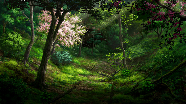 桜が自生する山奥の廃トンネル