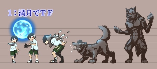 TF1~5
