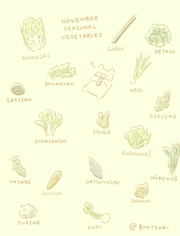11月　旬のお野菜