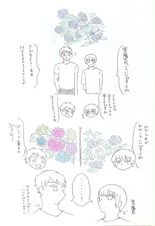 あじさいとプとにち