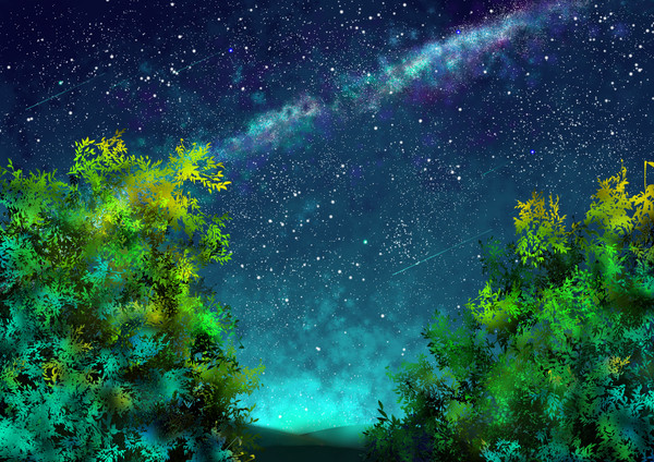 遠い夜の星