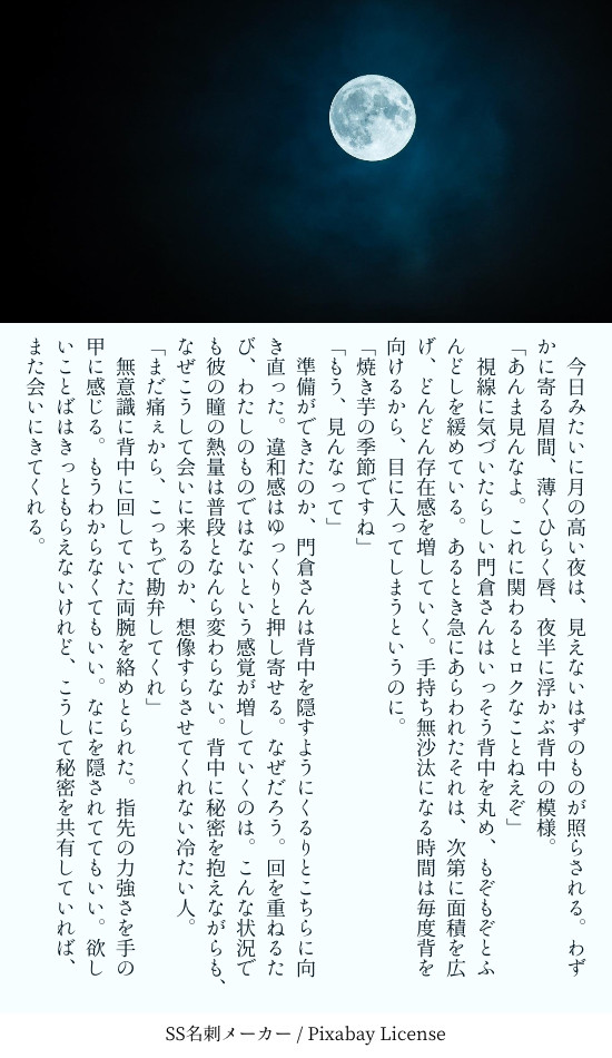 掌編