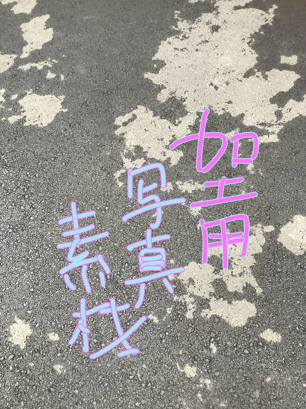 ãå å·¥çšããªãŒãåççŽ æãïŒç³ç³ã»èè£
ïŒãããã£ãã·ã§ã³å¿
èªã