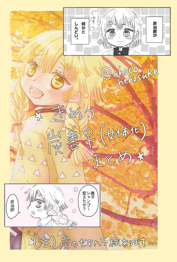 炭善♀まとめ