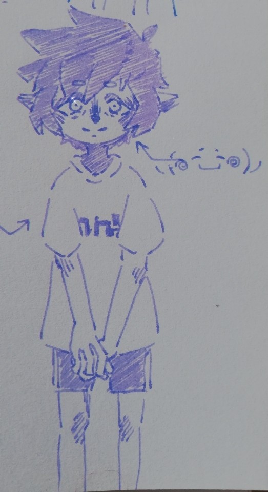 Z.A.P