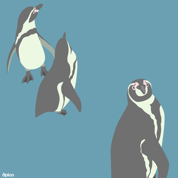 ペンギン