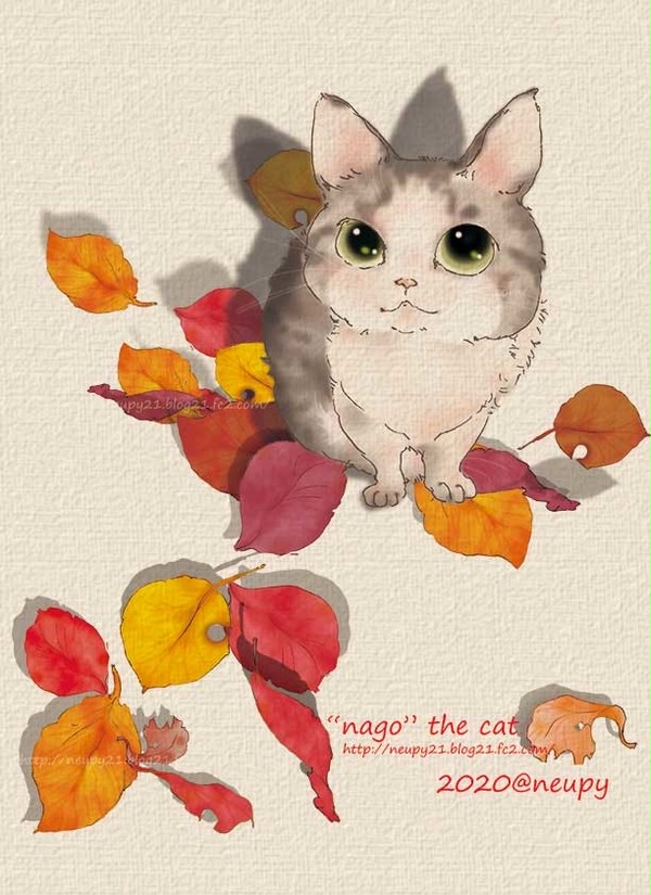 なのさんちの猫さん。
