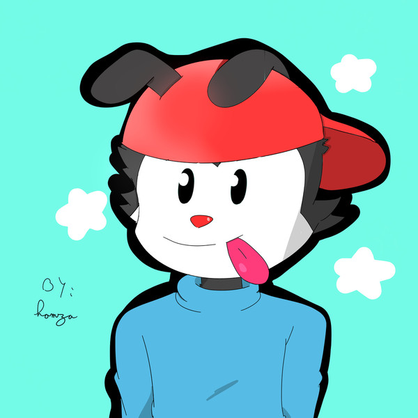 Wakko