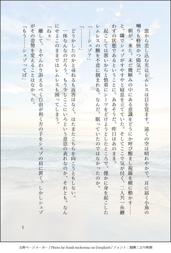とある日のシェレム