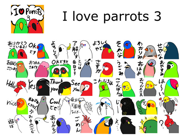 インコとオウム　３　I love parrots 3