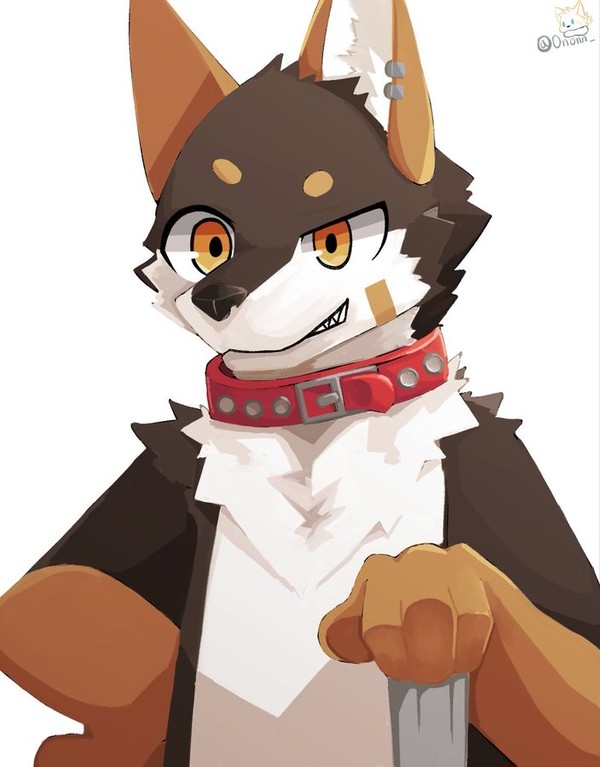 Doggg