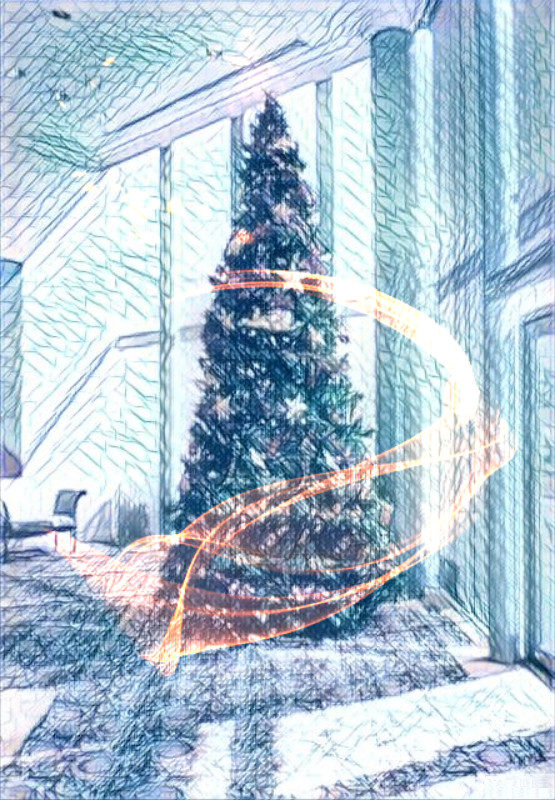 シドニーでのクリスマスツリー