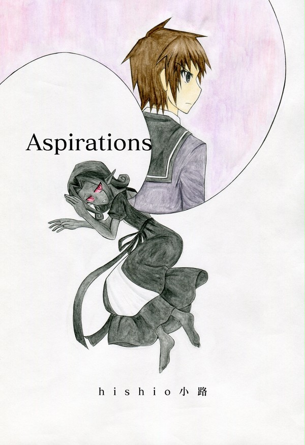 Aspirations