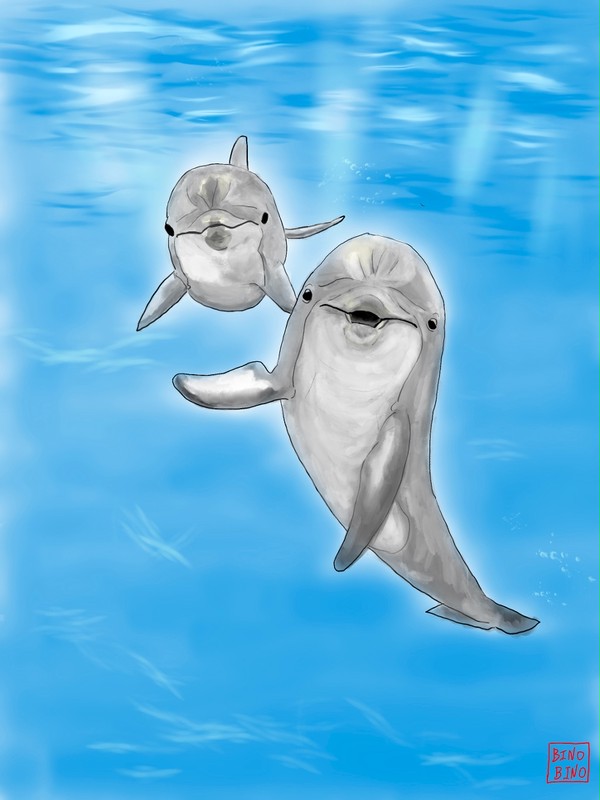 Dolphin