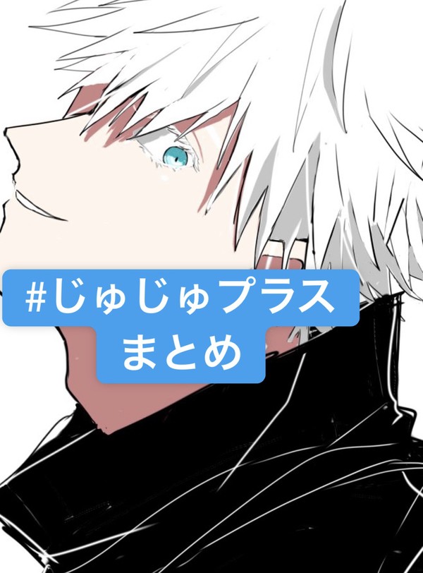 じゅじゅプラスまとめ