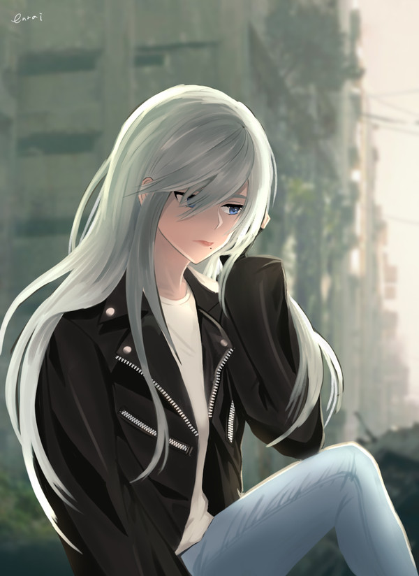 a2