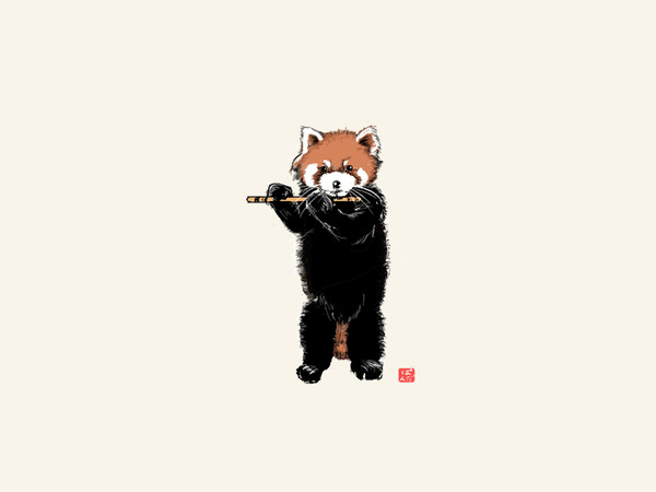 笛吹レッサーパンダ(単独)