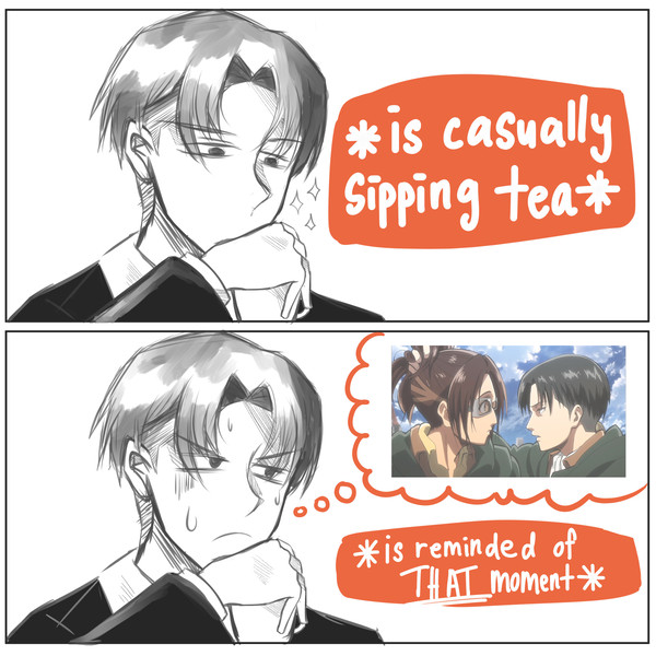 Levihan log 2