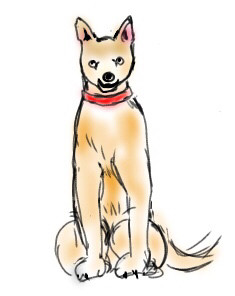 犬
