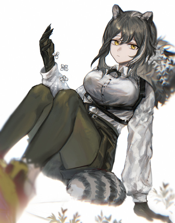 robin