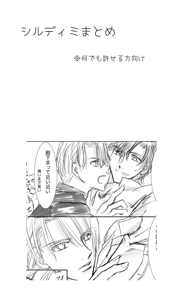 シルディミまとめ①